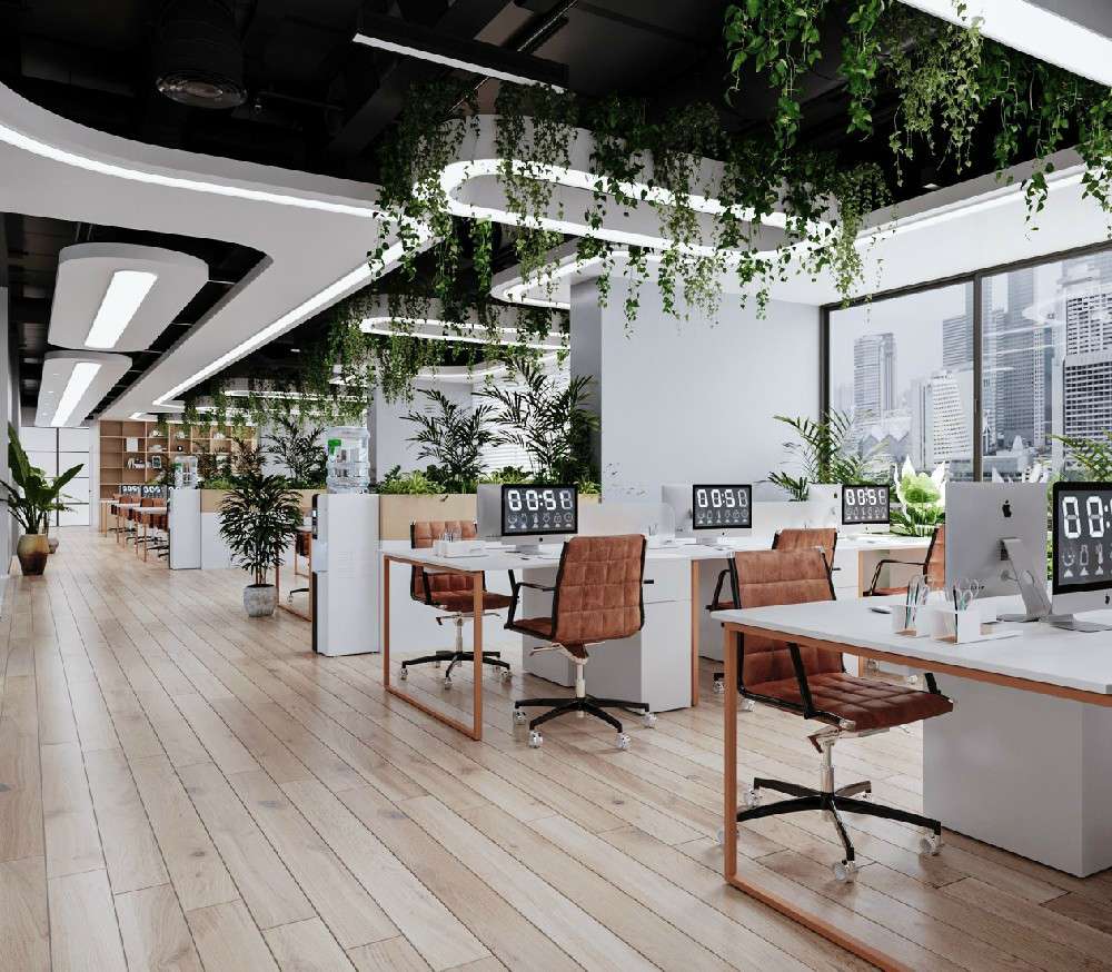 1648172940464146.jpg 3234.jpg