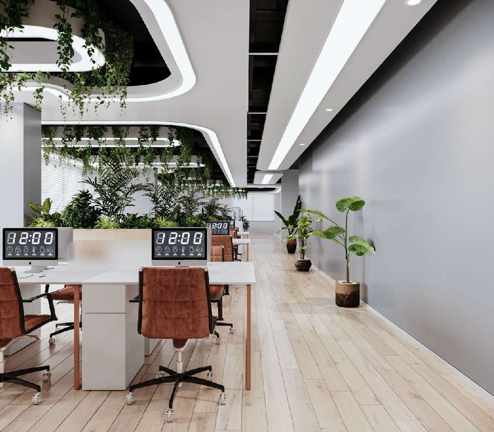 1649238111212828.jpg 3235.jpg